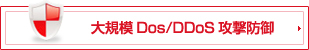 大規模DoS/DDoS攻撃防御