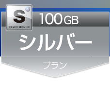 100GB シルバープラン