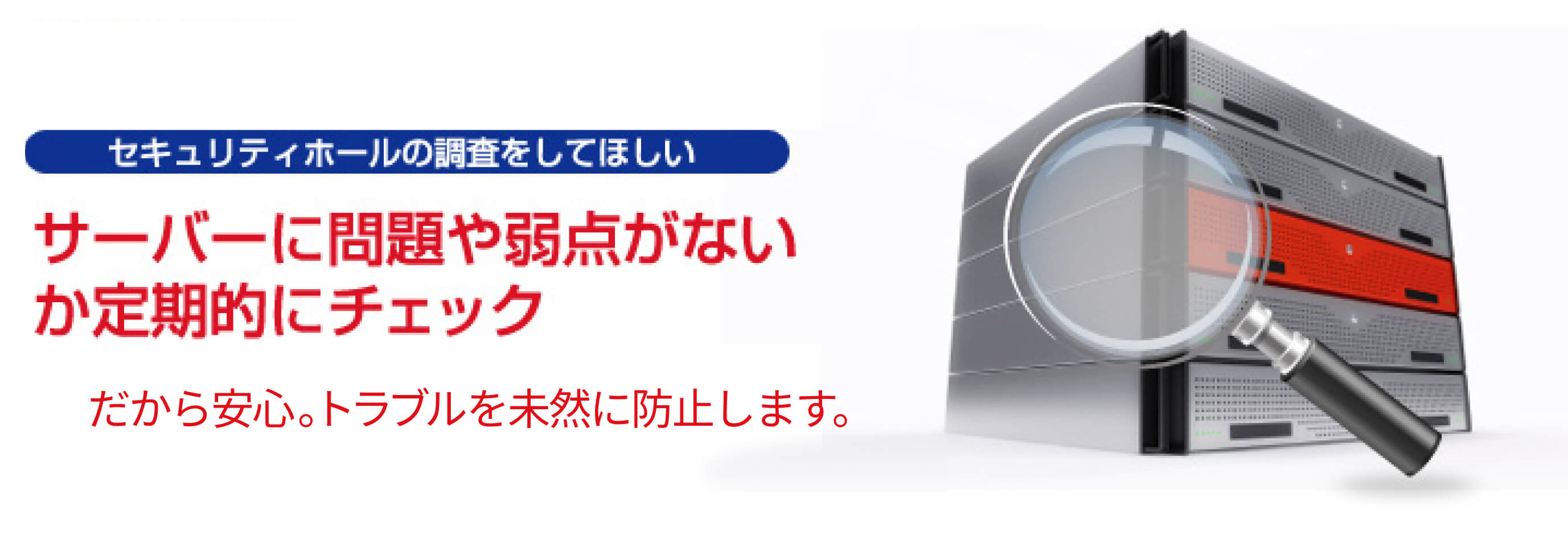 セコムトラストシステムズ　定期セキュリティ診断