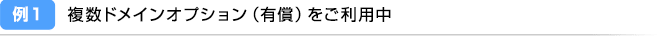 例1：複数ドメインオプション（有償）をご利用中